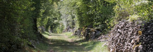 Le Lot 2017 : au bord de l'eau - 2 -