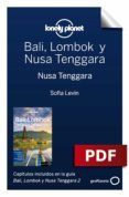 BALI, LOMBOK Y NUSA TENGGARA 2_11. NUSA TENGGARA leer epub VARIOS