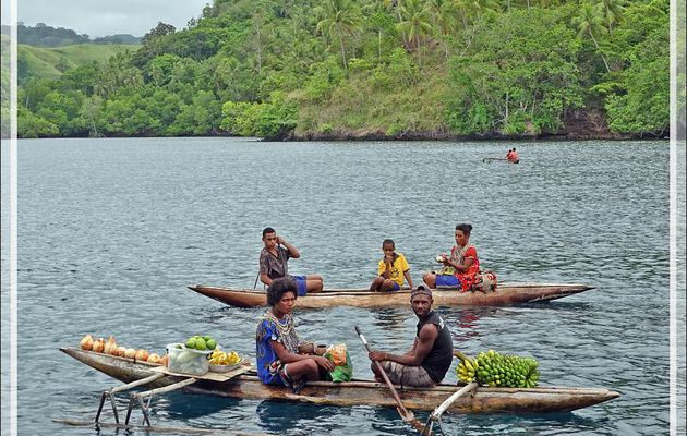 Court entracte sur le bateau avant de repartir en Zodiac, puis grimper comme on a pu dans (sur) une pirogue à plateforme - Tufi - Maclaren Harbour - Province d'Oro - Papouasie Nouvelle-Guinée