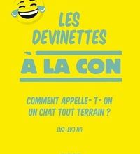 Téléchargement au format pdf des ebooks gratuits Les devinettes à la con 9782412044803 en francais