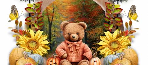 nounours en foret .