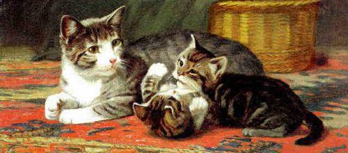Tableau du samedi : un chat avec ses chatons