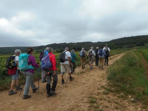 "Le Bois des Francs" - Mercredi 18 août 2021