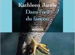 Dans l’œil du faucon