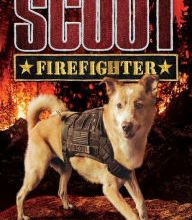 [Kindle] Firefighter download