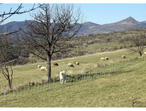 Sur les hauteurs de Digne les Bains