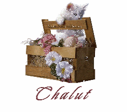 Offerts par Mumute