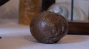 Le bézoard, la pierre aux mille vertus