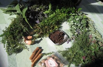 Vinaigre des 4 voleurs (révisions 3)