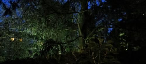 J'ai demandé à la lune ....