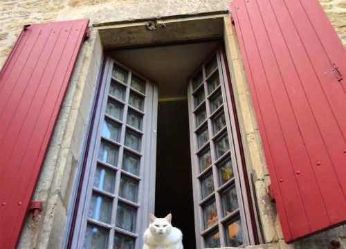 Trouver sa place ici ou là