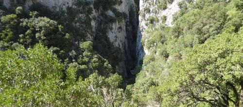 Les gorges de Galamus