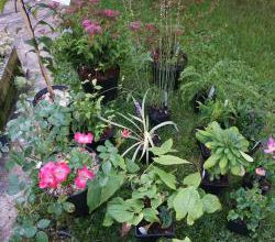 St Jean de B. 2017 : mon panier
