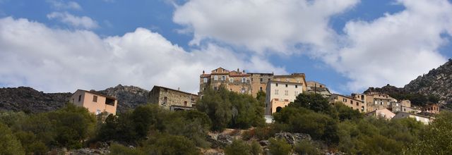 Lama - Corse