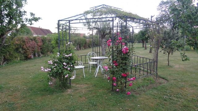 Rosier Pink Cloud