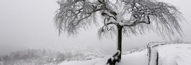  Nuit de neige (Guy de Maupassant )