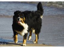 Sortie en bord de mer...