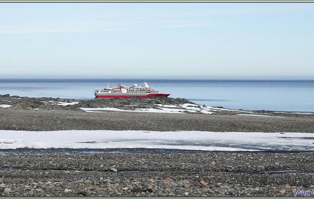 11/07/2024 : balade pédestre sur l'île Storøya (80° 04′ N, 28° 00′ E) - Svalbard - Norvège