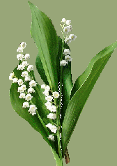 *Poésie: Muguet