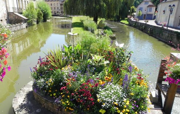un parterre de fleur 
