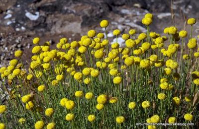 Sierra de Guara (suite et fin)