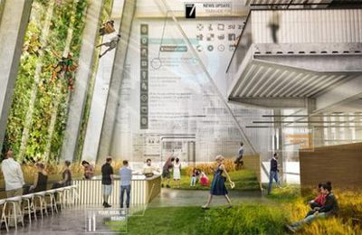 Potager mural et fermes suspendues – comment vous mangerez demain en ville
