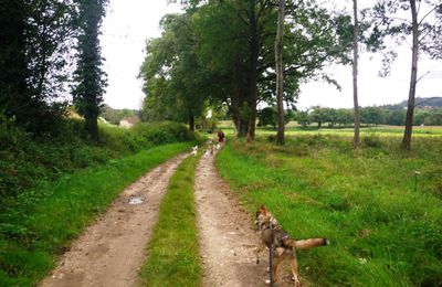 9 semaines: Ballade ruisseau