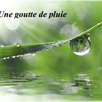 Bon Dimanche en Poésie 2025 !