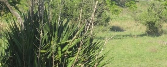 ZONE AUTOROUTIERE : CRIMES ET CHATIMENTS