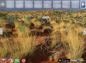 Help to the kangaroo soluce