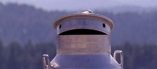 Boille (prononcer boy)