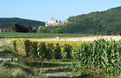Le château de Castelnaud...