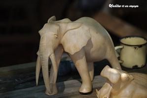 Afrique du Sud (6) - Swaziland - Ithala réserve