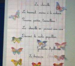 P1/S2 : réaliser des aplats aux crayons de couleurs