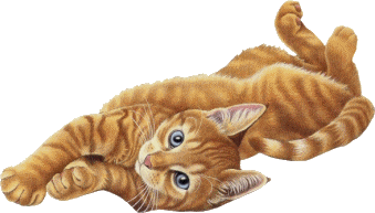 Expressions familières : 