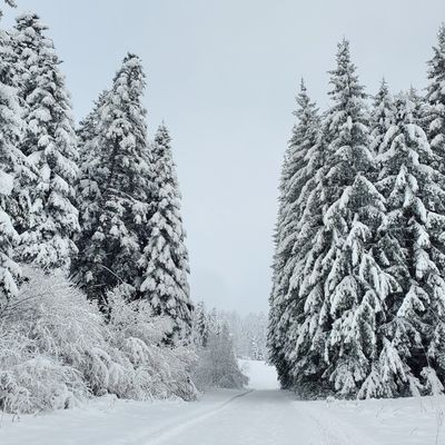 Le 26 novembre 2025 : Profitons-en encore un peu