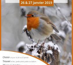 week end de comptage des oiseaux