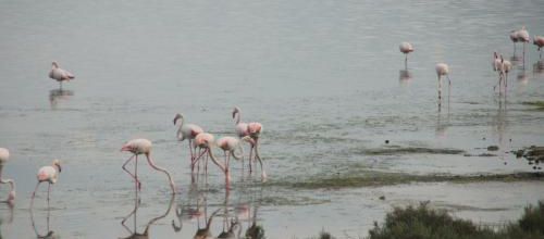 Lundi 09 au Dimanche 15.05. + Bonus