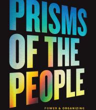 [Pdf/ePub] Prisms of the People: Power & Organizing in Twenty-First-Century America by Hahrie Han, Elizabeth McKenna, Michelle Oyakawa download ebook