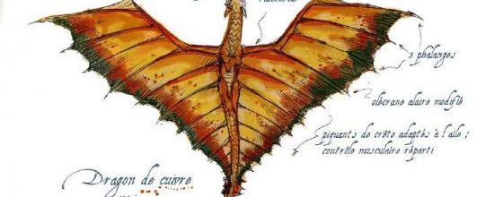 LE DRAGON DE CUIVRE