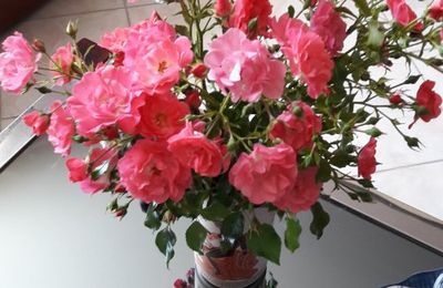 Un joli petit bouquet de roses du jardin...