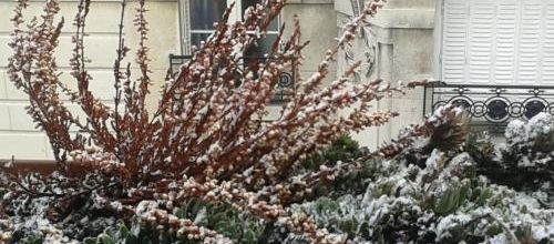 Paroles d'écrivains