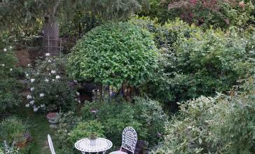 Chez ma voisine