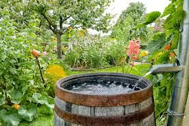L'eau du robinet  et l'eau de pluie sont elles potables ?