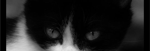Noir & Blanc...