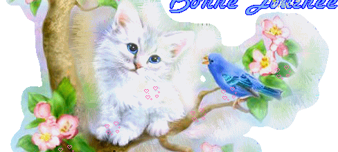 J'avance, j'avance.....