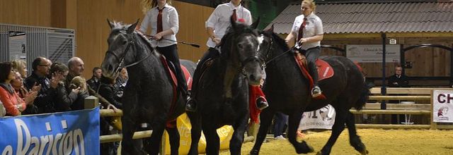 Salon de l'Agriculture 2014 : Le Cob Normand