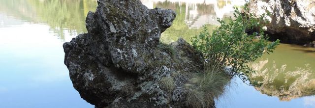 ma tête du jour  lol lol