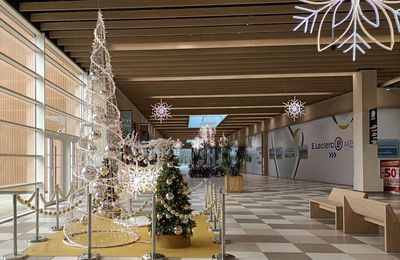 EB - Décorations de Noël 2023 aux Portes du Bassin...