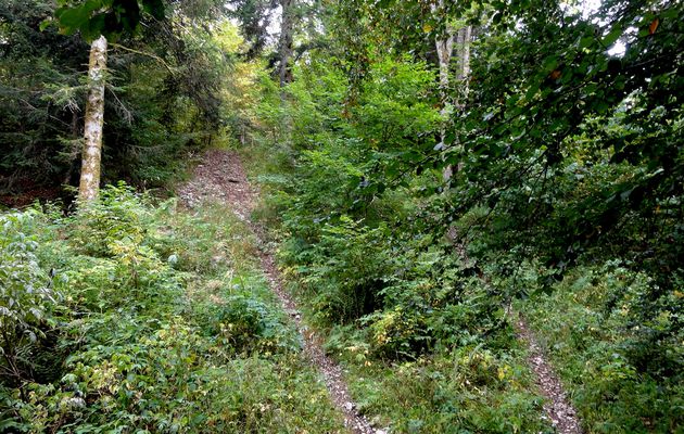 Le chemin des bornes